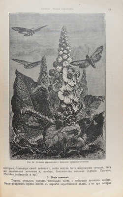 Штандфусс М.Р. Жизнь бабочек, их ловля, воспитание и сохранение. Руководство для собирателей. СПб., [1901].